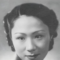 手机免费播放