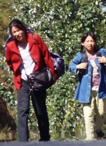 全集在线观看